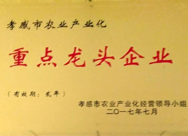 孝感市農(nóng)業(yè)產(chǎn)業(yè)化重點(diǎn)龍頭企業(yè)獎(jiǎng)牌