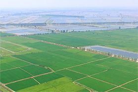 大閘蟹生態(tài)養(yǎng)殖基地